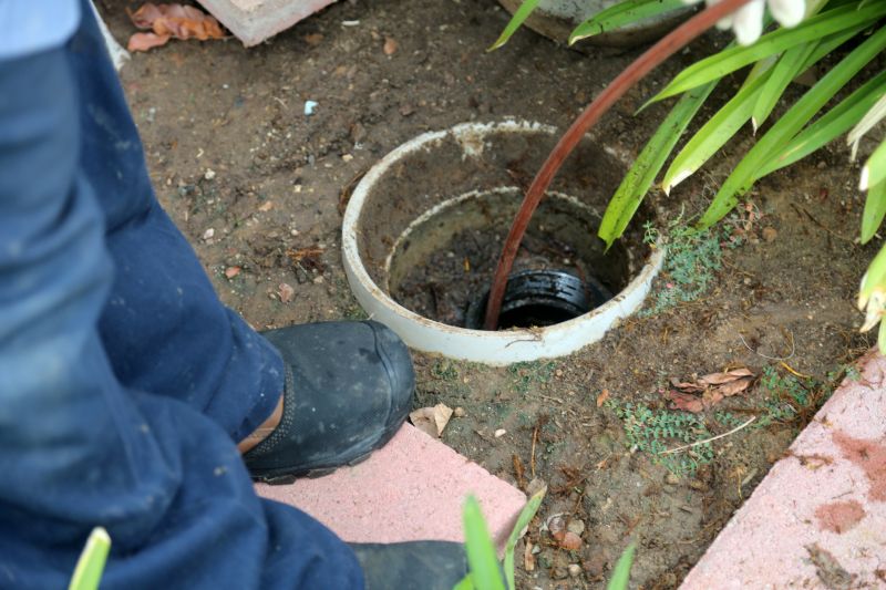Septic Repair detail